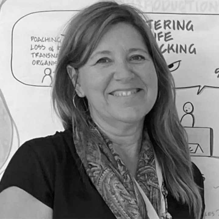 Indepth-consulting-Tine Hemelings